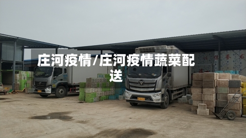 庄河疫情/庄河疫情蔬菜配送-第3张图片