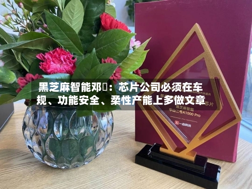黑芝麻智能邓堃：芯片公司必须在车规、功能安全、柔性产能上多做文章-第2张图片