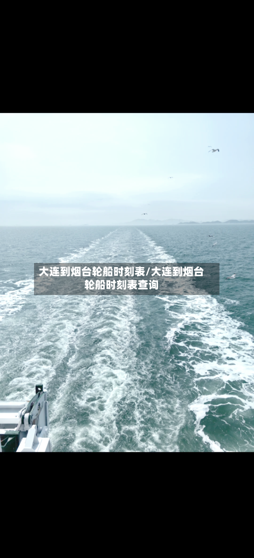 大连到烟台轮船时刻表/大连到烟台轮船时刻表查询