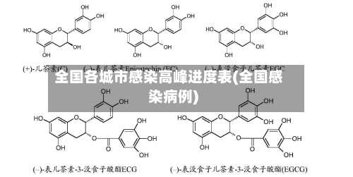 全国各城市感染高峰进度表(全国感染病例)-第2张图片