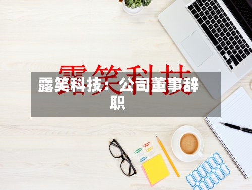 露笑科技:公司董事辞职