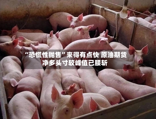 “恐慌性抛售”来得有点快 原油期货净多头寸较峰值已腰斩-第2张图片